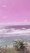 sonia_litvanchuk Altpins Profile Picture