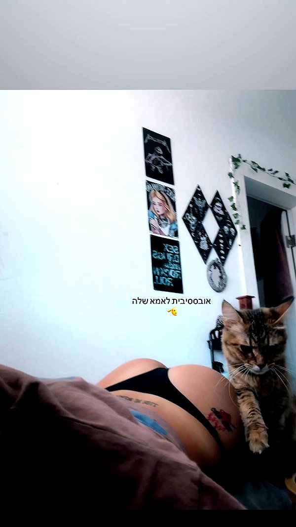 shaharo__._ archive video preview