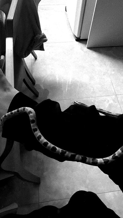 romy_ayalla_lavi romy_ayalla_lavi archive video