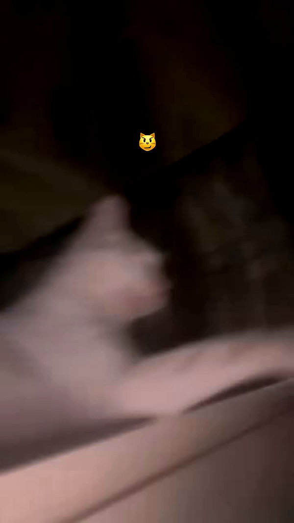 toutitune archive video preview