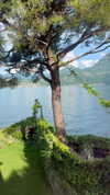 elizabethcampbelljones Altpins Profile Picture