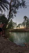 lishai_halevi Altpins Profile Picture