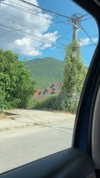 dante_yangpa Altpins Profile Picture