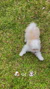 elizabethcampbelljones Altpins Profile Picture
