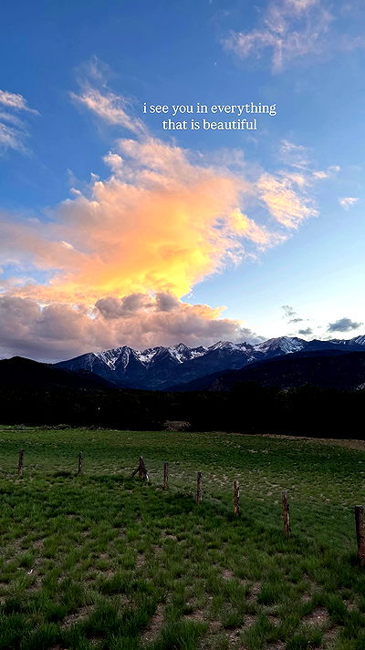 thelizzyporter thelizzyporter archive video