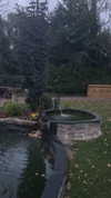 sonia_litvanchuk Altpins Profile Picture