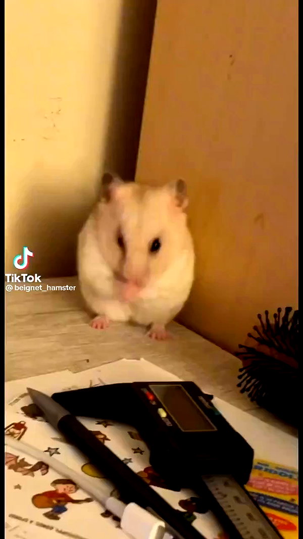 babynympho_archive archive video preview