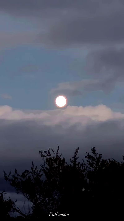 taylor.creeden taylor.creeden archive video