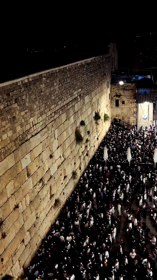 agam_nachman archive video preview