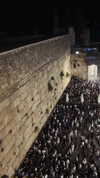agam_nachman Altpins Profile Picture
