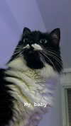 liza_kremer Altpins Profile Picture