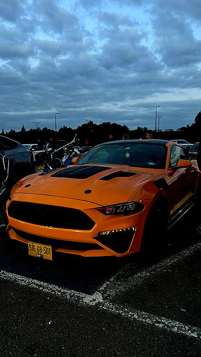 simp_for_cats_ simp_for_cats_ archive video