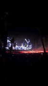 michalcohen___ Altpins Profile Picture