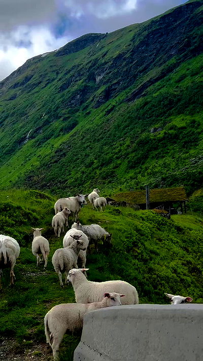 taylor.creeden taylor.creeden archive video