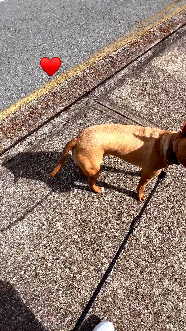 olivia.mathers archive video preview