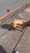 olivia.mathers Altpins Profile Picture
