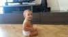 shakira Altpins Profile Picture