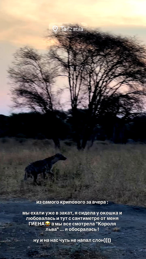 pokrov90 archive video preview