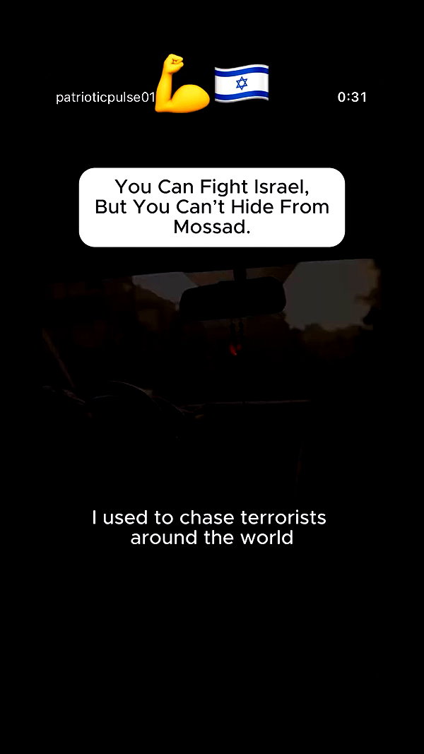 sapir_shemer archive video preview