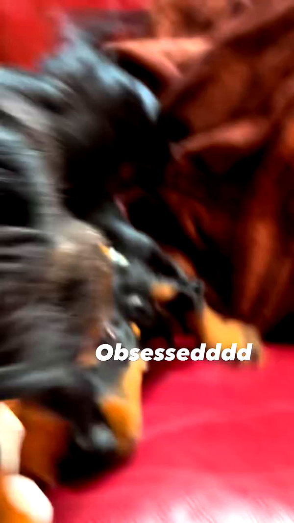 libby_reut archive video preview