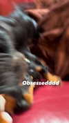 libby_reut Altpins Profile Picture