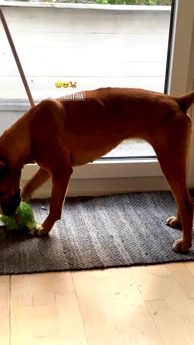 manjolamuriqi manjolamuriqi archive video