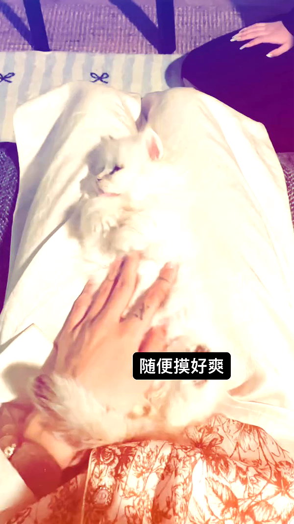 xiaoxinbue archive video preview