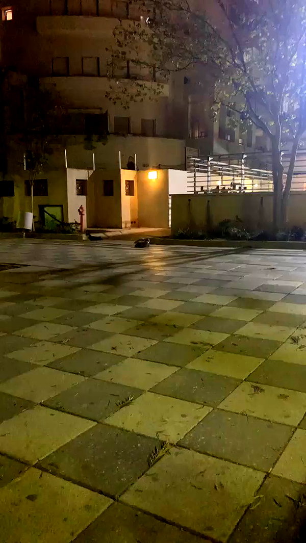 eitan.420 archive video preview