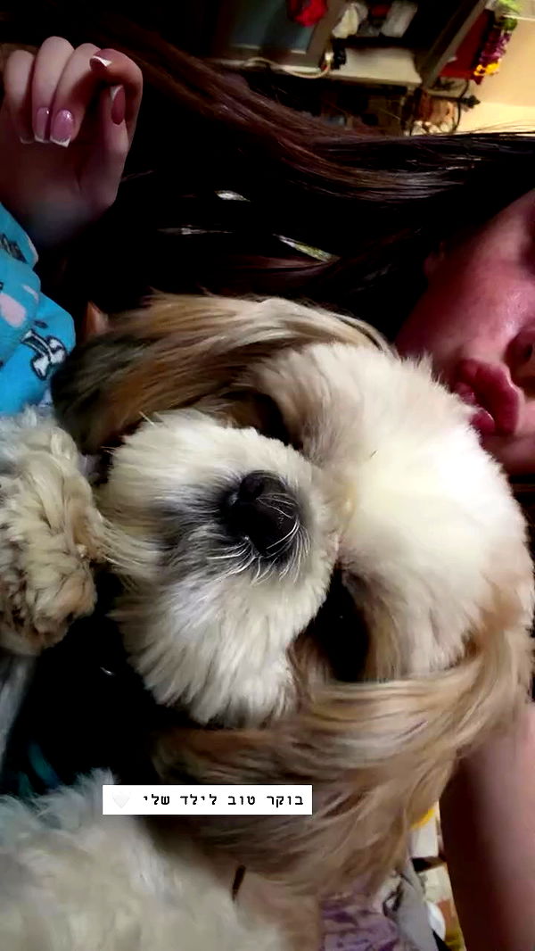 _._dianush._ archive video preview