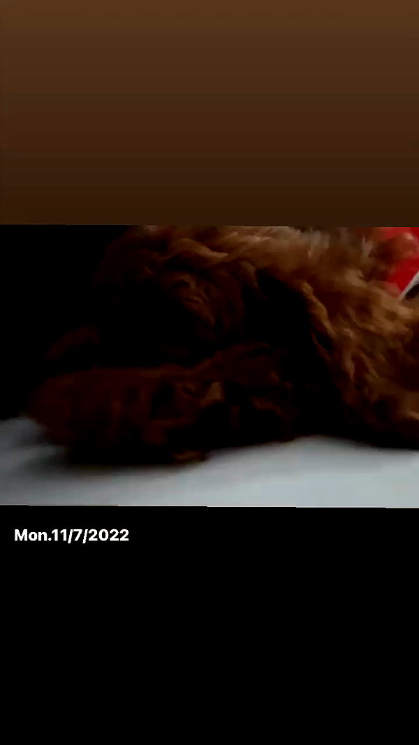 kteaworld archive video preview