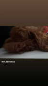 kteaworld Altpins Profile Picture