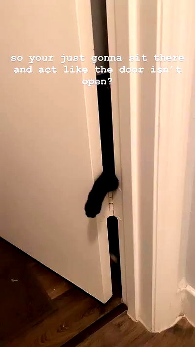 suikomuu suikomuu archive video