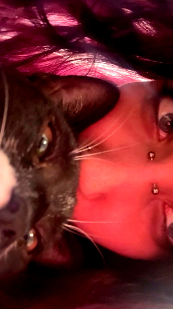 avitallllllllllllllll archive video preview