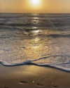 ofri.elul Altpins Profile Picture