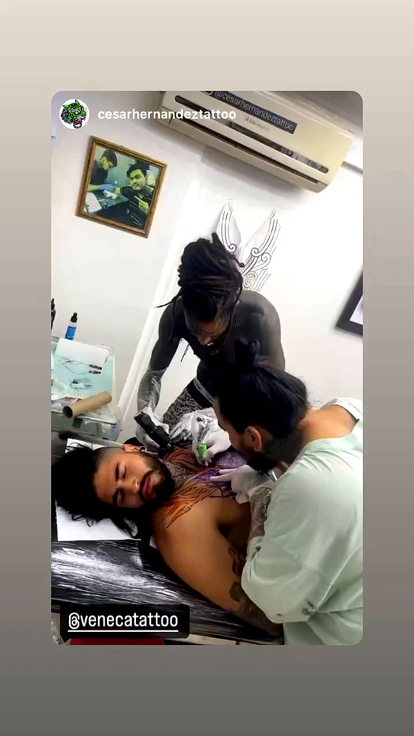 venecatattoo archive video preview