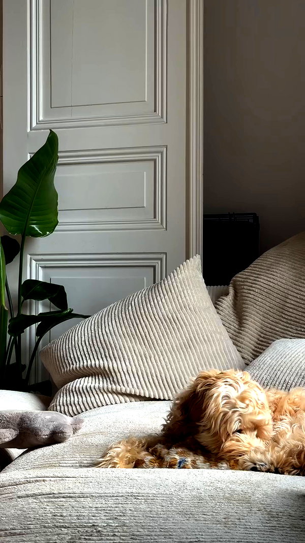 sophiecharlotth archive video preview