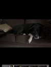 gissell_eli Altpins Profile Picture