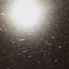 milena_milachich Altpins Profile Picture