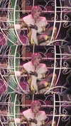 mileycyrus Altpins Profile Picture