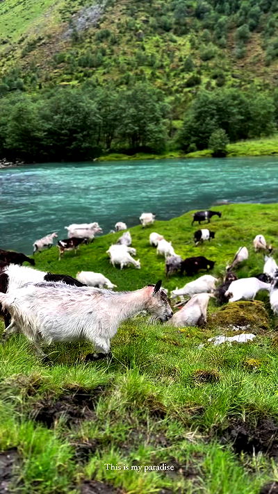 taylor.creeden taylor.creeden archive video