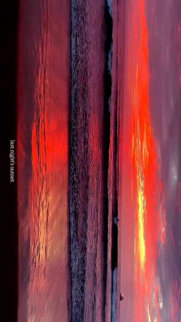 adyanacovelli archive video preview