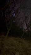 elsgatti Altpins Profile Picture