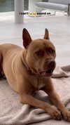 olivia.mathers Altpins Profile Picture