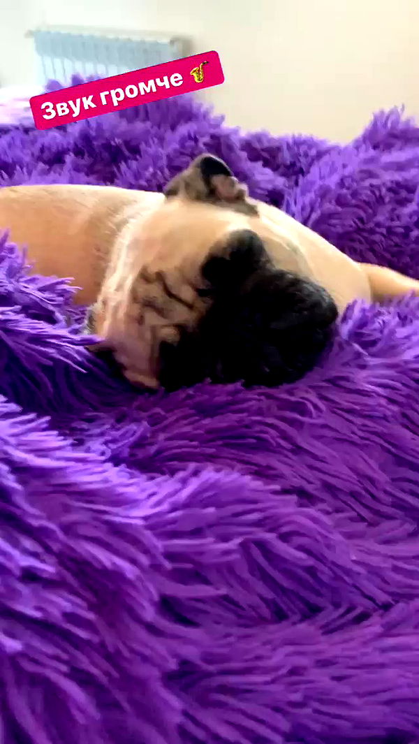 nyityam archive video preview