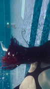 lolontlia Altpins Profile Picture