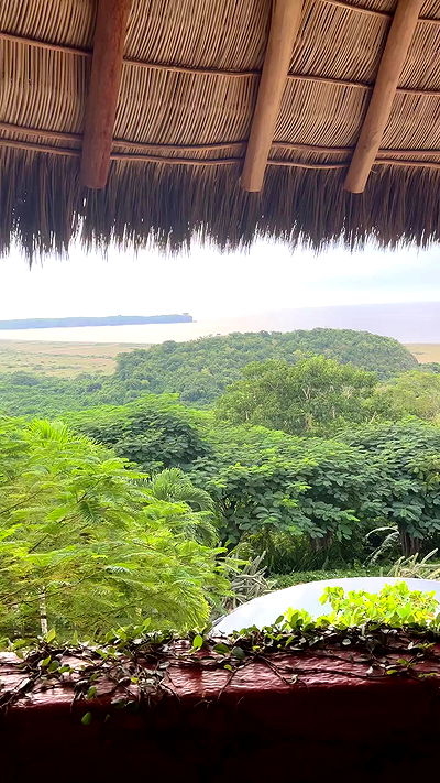 taylor.creeden taylor.creeden archive video