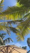 ann.shellll Altpins Profile Picture
