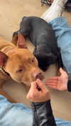 olivia.mathers Altpins Profile Picture