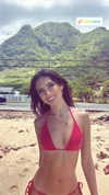 lousyfaerie Altpins Profile Picture