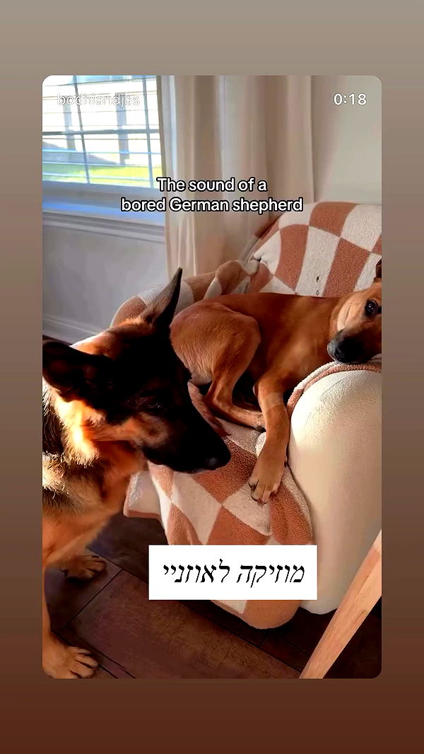 emily_new2 archive video preview